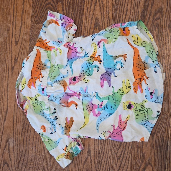 Toddler - Dinosaur Bundle: Sweatshirt, Shirts, Pants & Shorts - 3T - Picture 7 of 12
